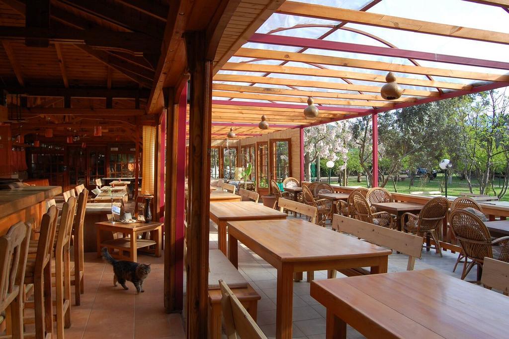 Olympos Mitos Ξενοδοχείο Εξωτερικό φωτογραφία