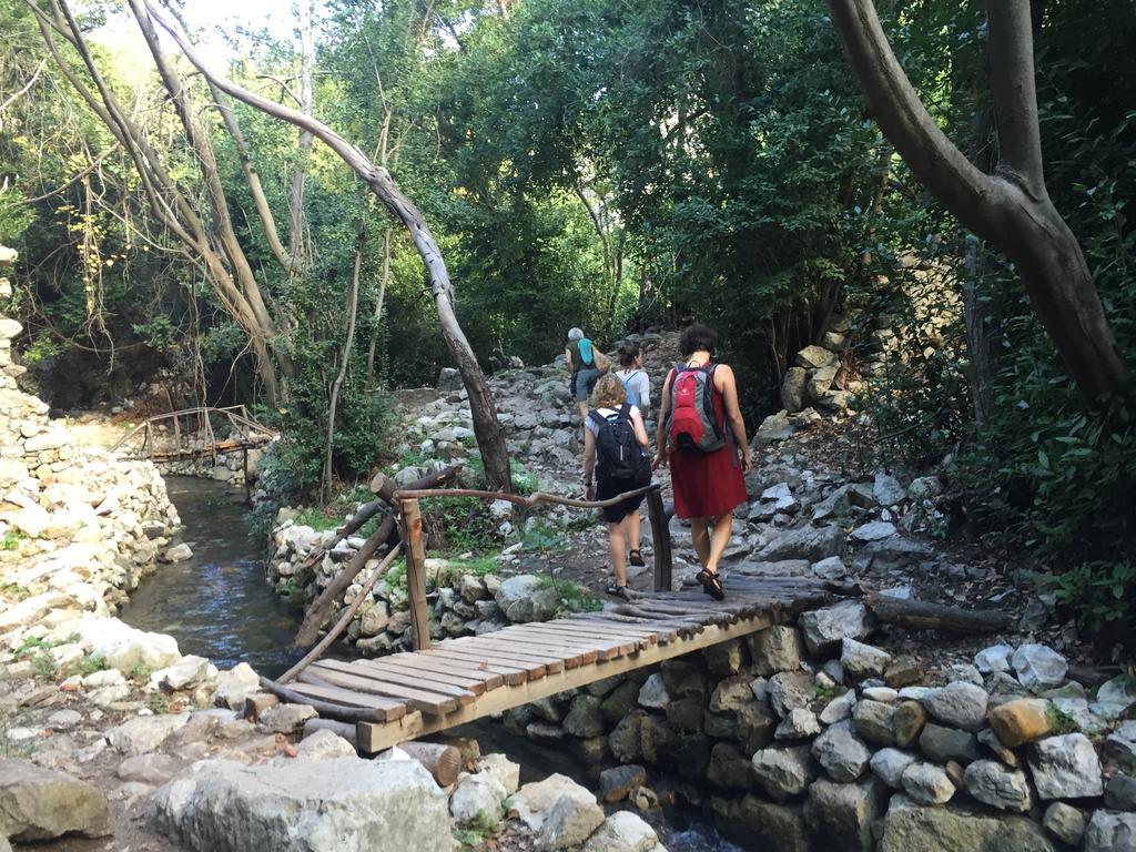 Olympos Mitos Ξενοδοχείο Εξωτερικό φωτογραφία