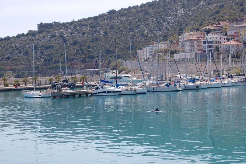 Olympos Mitos Ξενοδοχείο Εξωτερικό φωτογραφία