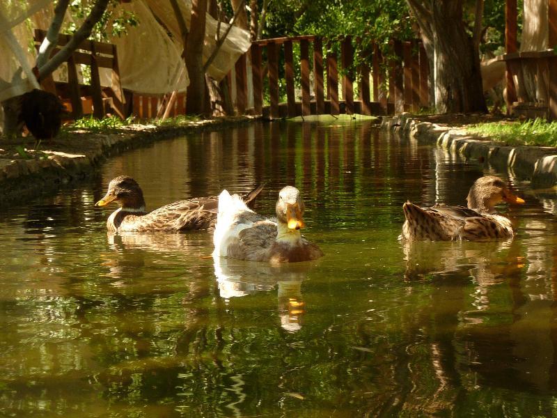 Olympos Mitos Ξενοδοχείο Εξωτερικό φωτογραφία