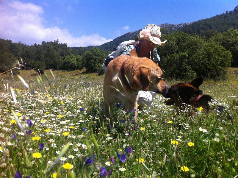 Olympos Mitos Ξενοδοχείο Εξωτερικό φωτογραφία